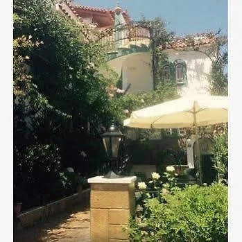 Contessa 